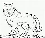 Wolf Coloring Gray Pages Color Grey Printable Getcolorings Print Mexican sketch template