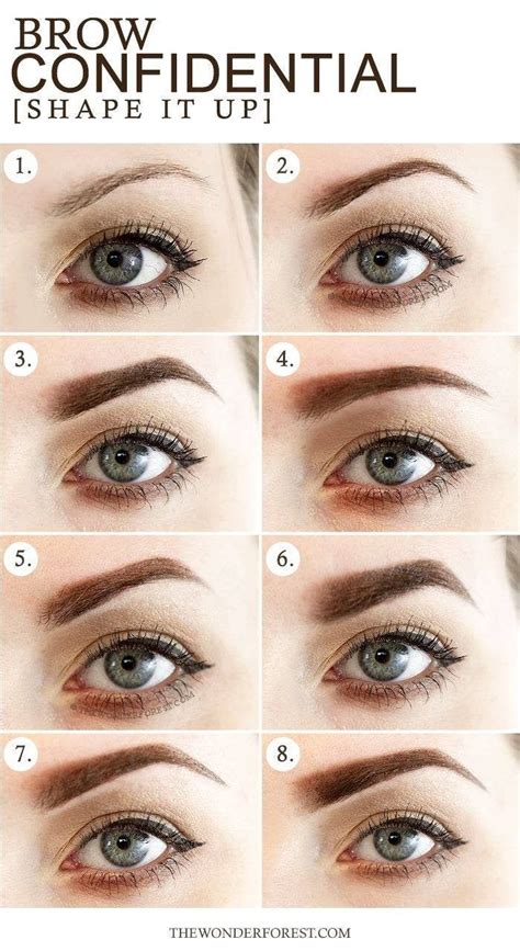 16 eyebrow diagrams that will explain everything to you different
