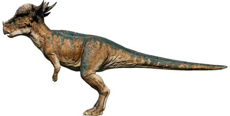 Stygimoloch Jurassic World Evolution Wiki Fandom In 2021 Jurassic