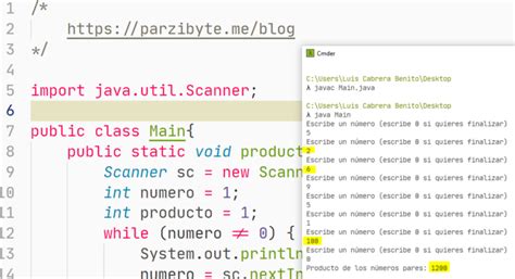 Números Pares En Java C Python Hot Sex Picture