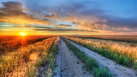 hd golden sunset on the wheat field wallpaper download