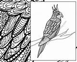Zentangle Animal Coloring Colouring Bird Sheet Parrot sketch template