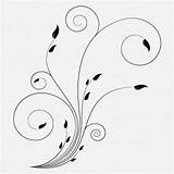 Swirl Swirls Arabesco Uidownload Vectorified Newdesign sketch template