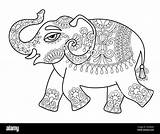 Coloring Elephant Indian Drawing Adults Line Ethnic Bo Original Stock Alamy Vector sketch template
