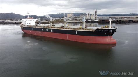 african starling bulk carrier details  current position imo