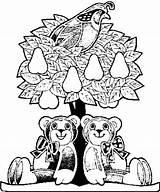 Pear Tree Partridge Bears Enjoy Explosion Nova Reserved Rights Wide Collection sketch template