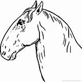 Pferdekopf Pferde Besten sketch template
