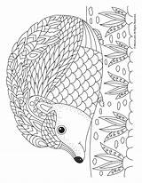 Hedgehog Coloring Adult Pages Mandala Animal Printable Kids Dyr Kopitegninger Woojr Fall Activities Flower Print Template sketch template