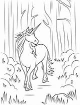 Unicorn Forest Coloring Categories Pages Printable sketch template