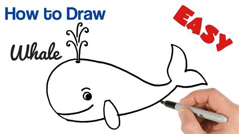 simple whale drawing  kids rwanda