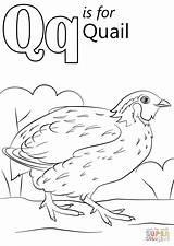 Coloring Letter Quail Pages Printable Alphabet Preschool Color Sheets Worksheets Queen Words Drawing Super Kids Supercoloring Book Abc Animals Kindergarten sketch template