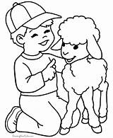 Lamb Coloring Pages Farm Printable Sheep Boy Color Colouring Baby Little Sheets Kids Animal Animals Cute Cliparts Raisingourkids Print Boys sketch template