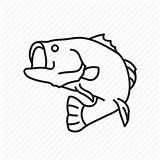 Bass Largemouth Drawing Fish Striped Sea Fishing Jumping Clipart Water Clarinet Getdrawings Trout Game Rainbow Drum Big Clipartmag sketch template