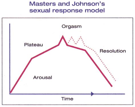 sexology today the sexual response cycle — sex and self