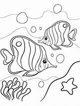 Coloring Sea Anemone Getdrawings Pages sketch template