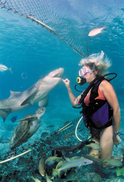 curacao sea aquarium zwemmen met dolfijnen curacao vakantie arena