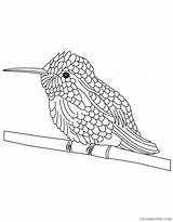 Coloring4free Kolibri Hummingbirds Ausmalbilder Humming Sheets 2816 Ausmalbild sketch template