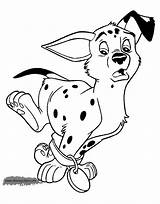 Coloring Dalmatians Pages Puppy Tripping Collar Over Disneyclips Disney Funstuff sketch template