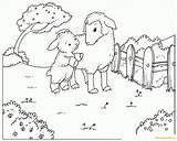 Sheep Lamb Coloring Pages Goats Spring Printable Color Nature Animals Template sketch template
