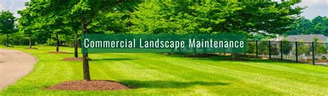 commercial landscape maintenance maryland virginia dc