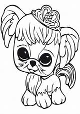 Pet Shop Kolorowanki Do Malowanka Wydruku Dla Dzieci Kolorowanka Little Pets Coloring Pages Eu Littlest Dog Druk Cat Nr sketch template