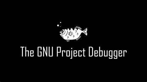 gdb  gnu project debugger hacking reviews