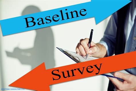 the importance of ﻿baseline socio economic surveys for projects in kenya kryptone consulting