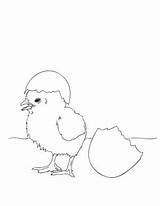 Easter Coloring Baby Chick Pages Ei Makeandtakes Küken Im Little Zeichnen Artikel Von Takes Make sketch template