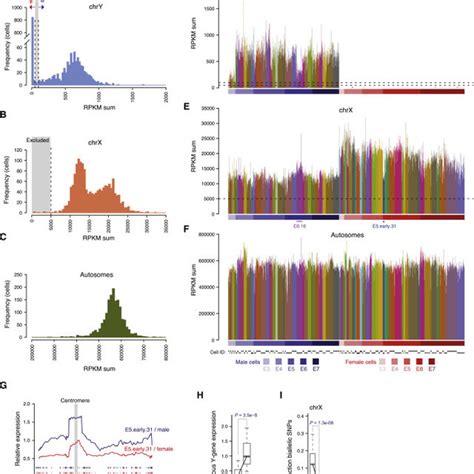 Biallelic Expression Of Xist And X Linked Genes Download Scientific