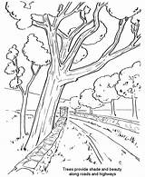 Arbor Coloring Trees Pages Tree Bare Holiday Streetside Clipart Plant Honkingdonkey Popular sketch template