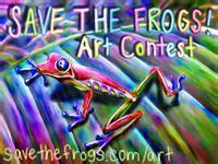 art contests  students images   art contests art
