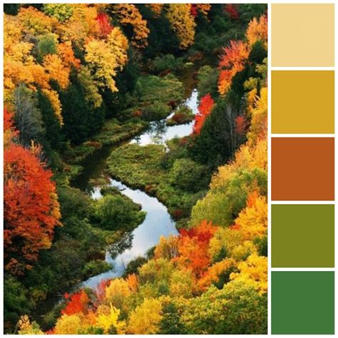 fall style guide   home fall color schemes yellow colour
