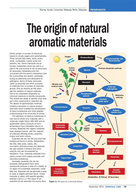 origin  natural aromatic materials