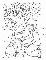 Coloring Pages Tree Happy Friends Library Clipart Disegni Degli Alberi Festa sketch template