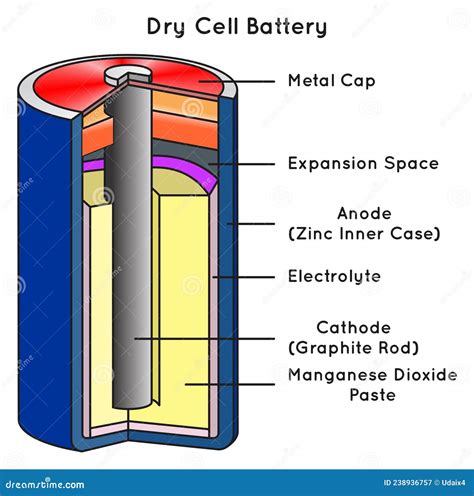 dry cell battery infographic diagram stock vector illustration