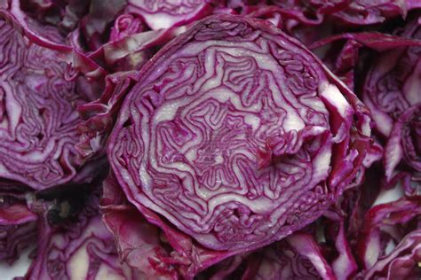 difference  red  green cabbage erinnudicom