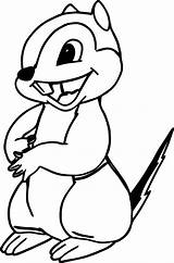Chipmunk Coloring Pages Drawing Forest Chipmunks Wecoloringpage Boy Clipartmag sketch template