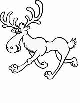 Moose Coloring Pages Caribou Print Coloriage Printable Kids Cartoon Drawings Canada Clipart Cliparts Mammals Drawing Colouring Step Book Printables Library sketch template