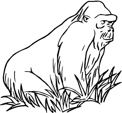gorilla coloring  drawing sheet