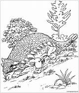 Ankylosaurus Coloring Pages Dinosaur Printable Protea Color Colouring Supercoloring Kids Coloringpagesonly Print Online Adults Crafts 269px 63kb sketch template