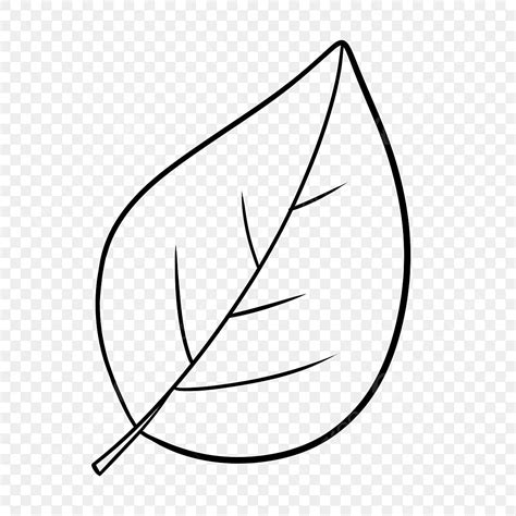 large leaf black  white clipart leaf drawing lip drawing black  white drawing png
