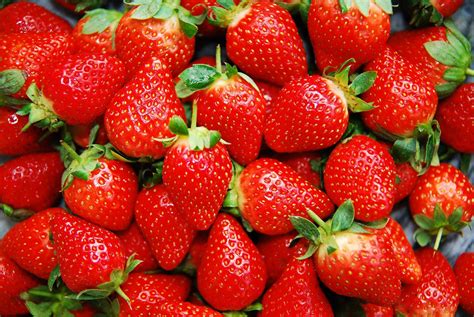 strawberries fresh  longer   week
