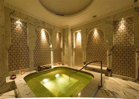 star hotels  spa   delhi luxury spa hotel   delhi