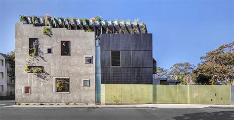 jungle house