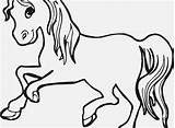 Coloring Pages Stallion Getdrawings Horse sketch template