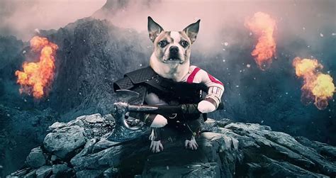heres  fun god  war video starring dogs called dog  war