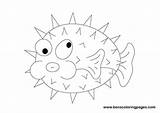 Coloring Pages Pufferfish Fish Puffer sketch template
