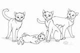 Cats Coloring Pages Warriors Warrior Cat Death Colouring Drawing Library Clipart Pdf Cliparts Wallpaper Getdrawings Coloringhome Comments sketch template