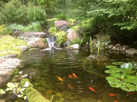 pond  waterfall cleaning mistakes baltimore maryland ponds