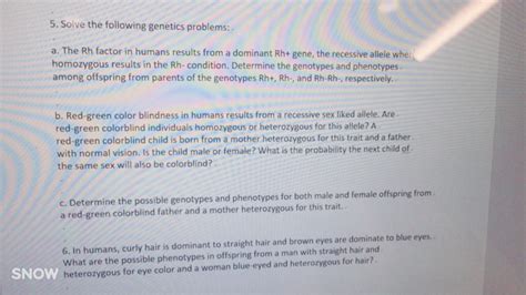 Solve The Following Genetics Problems The Rh Factor